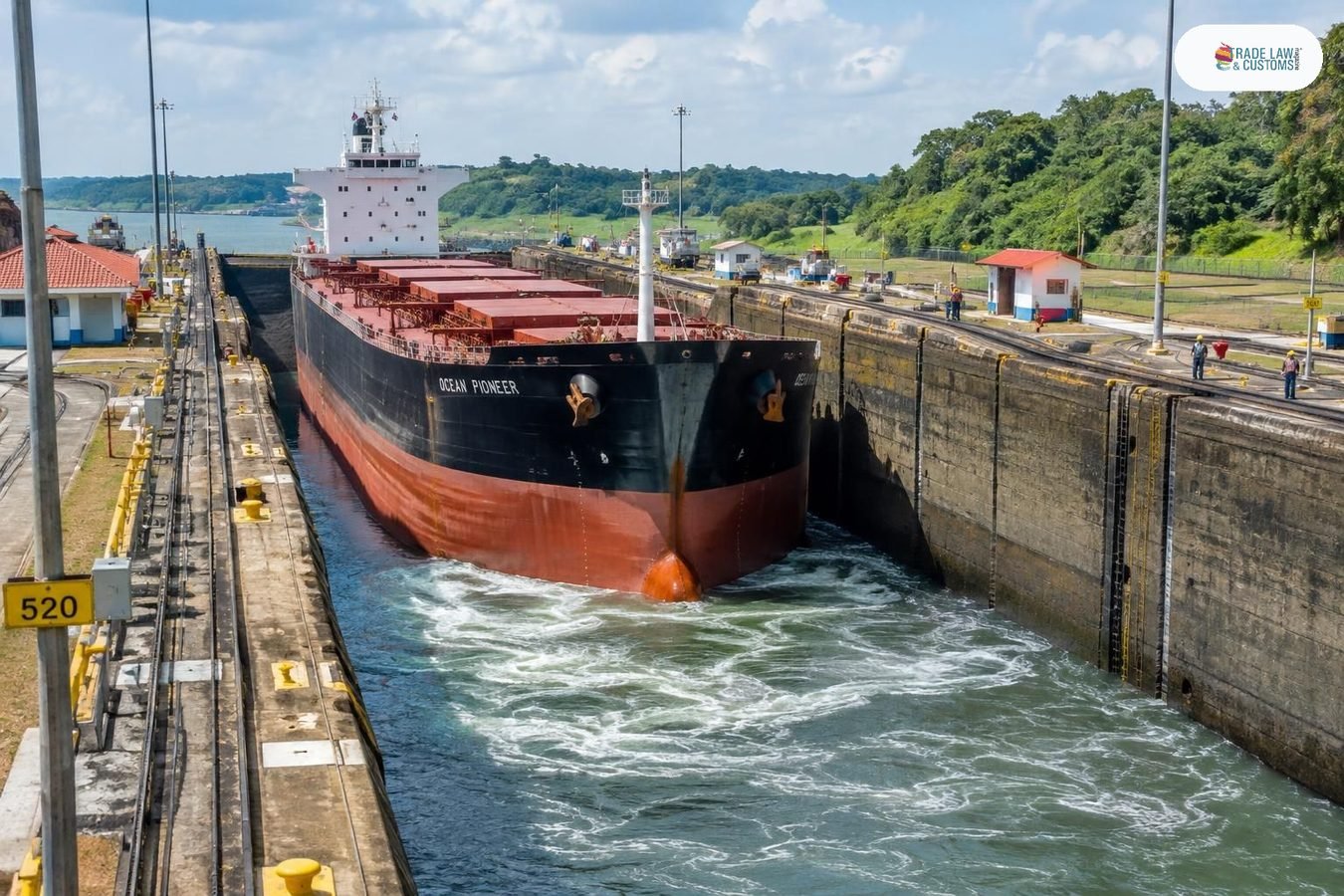 Granelero Panamax transitando las esclusas del Canal de Panamá bajo luz tropical